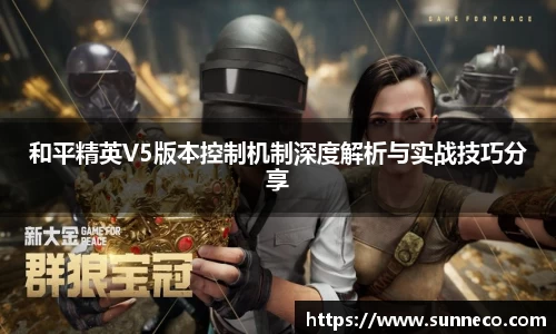 和平精英V5版本控制机制深度解析与实战技巧分享